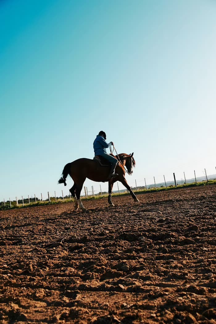 Équitation